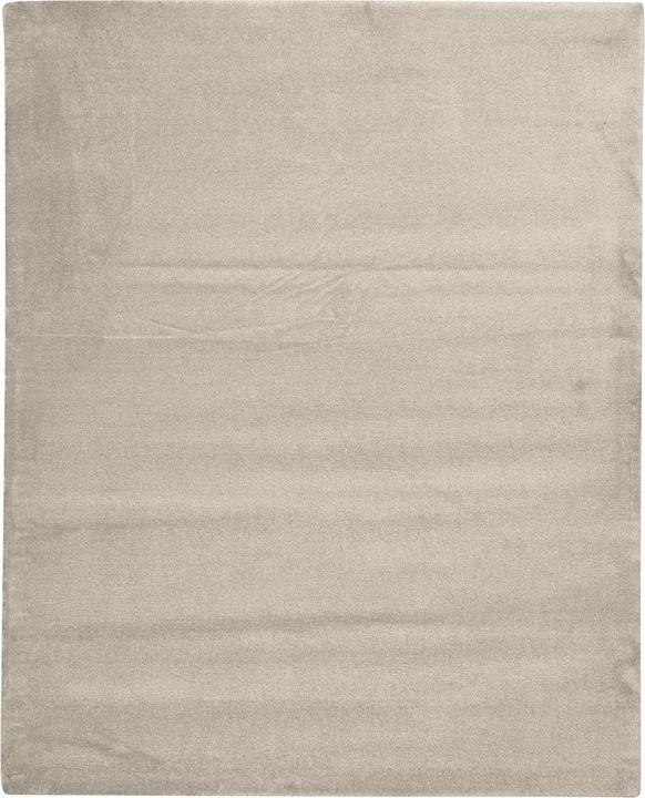 Produktbild Johann Jakob Sofia (300 x 200 cm)