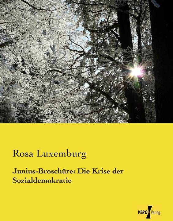 Produktbild Junius-Broschüre: Die Krise der Sozialdemokratie (Deutsch, Rosa Luxemburg, 2014)