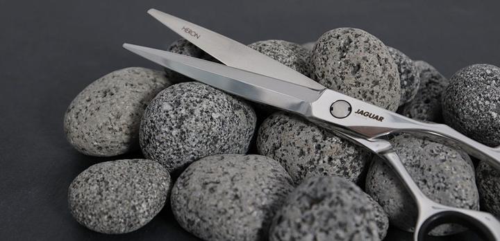 Produktbild Jaguar Heron (13.97 cm)