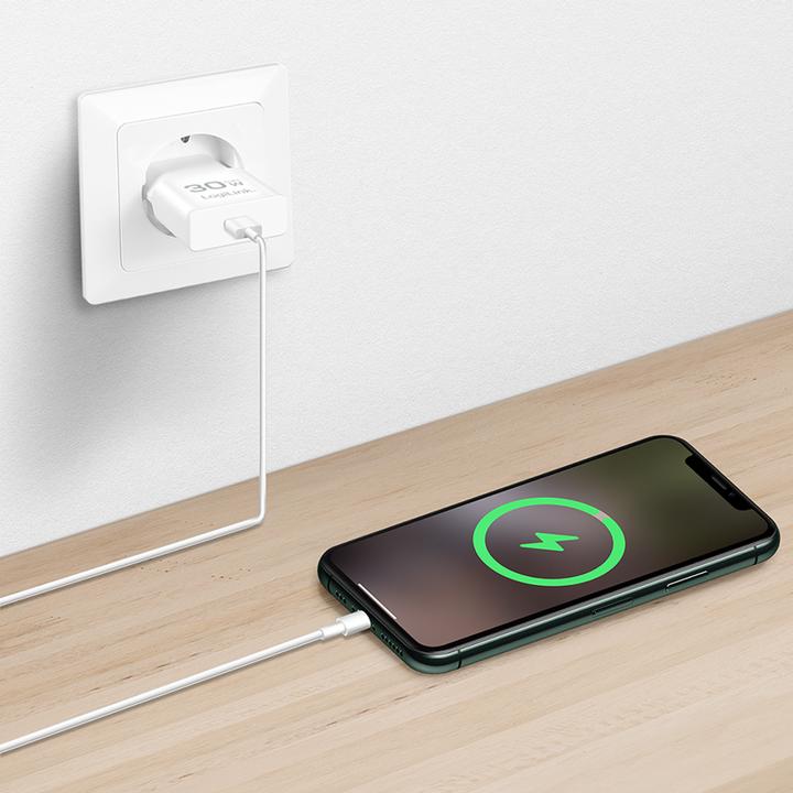 Image du produit LogiLink PA0347 (30 W)