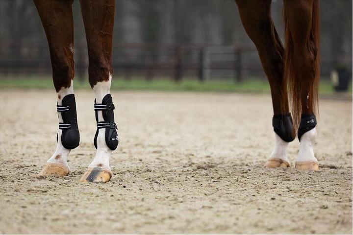 Produktbild BR Equestrian Equipment XO2 (XL)