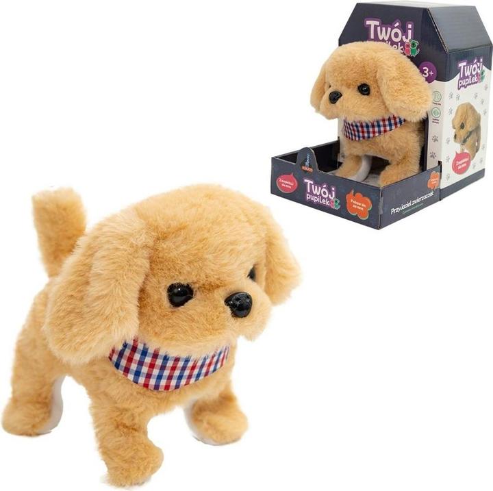 Produktbild Askato Ihr Hund