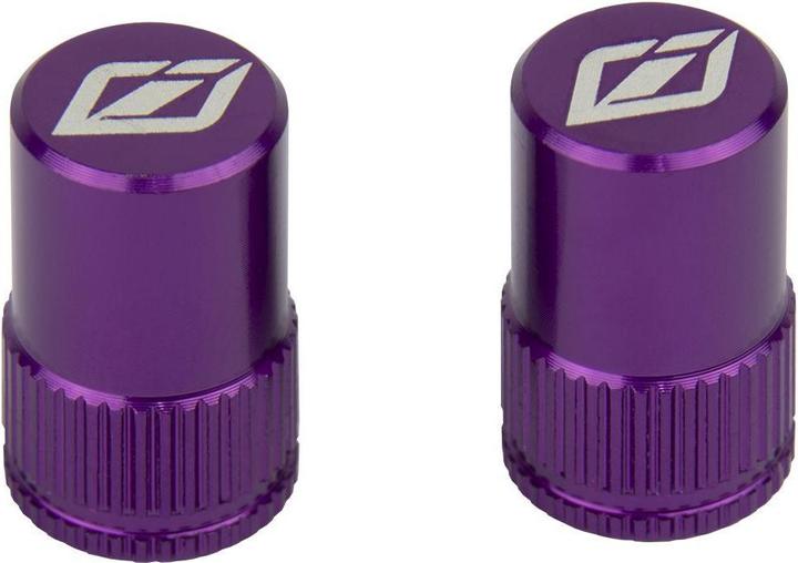 Immagine prodotto Insight Schrader