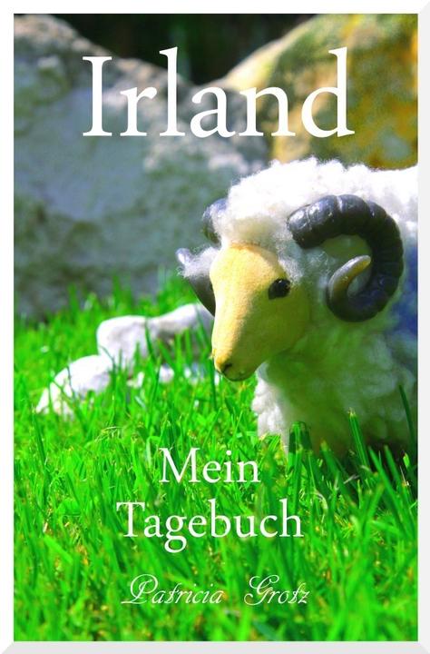Produktbild Irland - Mein Tagebuch