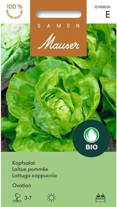 Produktbild Samen Mauser Knospe Bio Kopfsalat Ovation (Gemüsesamen)