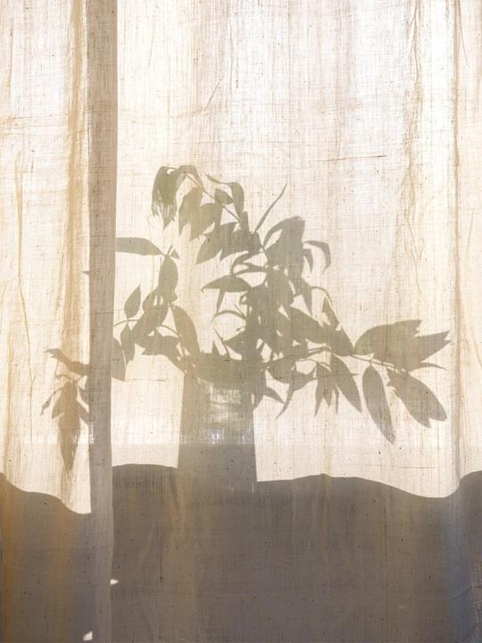 Produktbild L'Occitane Verveine (Crème, 50 ml)