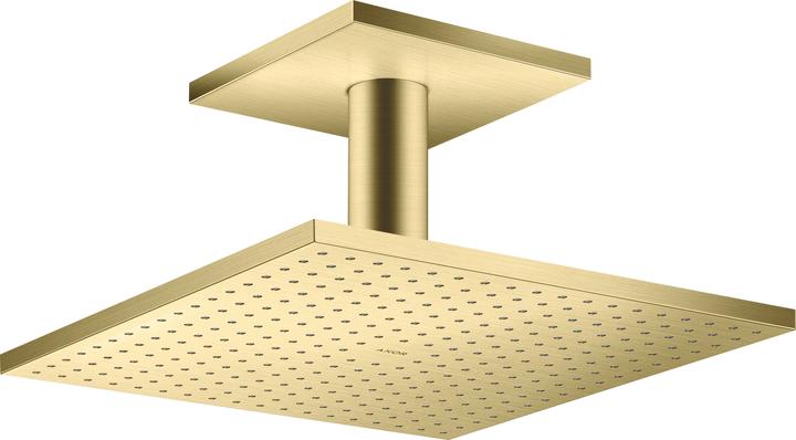 Brushed Brass