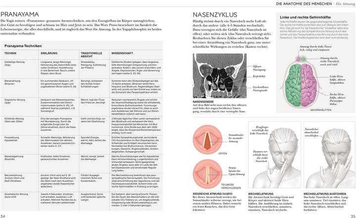 Produktbild Yoga verstehen - Die Anatomie der Yoga-Haltungen (Deutsch, Ann Swanson, 2024)