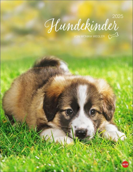 Heye Hundekinder Posterkalender 2025