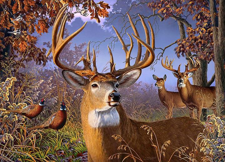 Produktbild Cobble Hill Puzzle 500 pieces XXL Pieces - Deer and Pheasant (500 Teile)