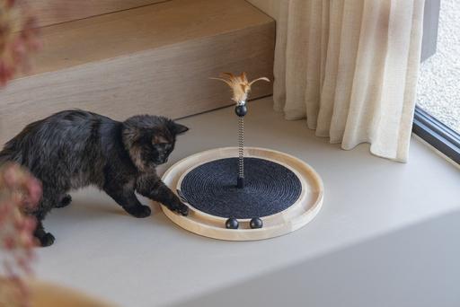 Produktbild Designed by Lotte Holz Kratzspielzeug (Kratzspielzeug Katze)