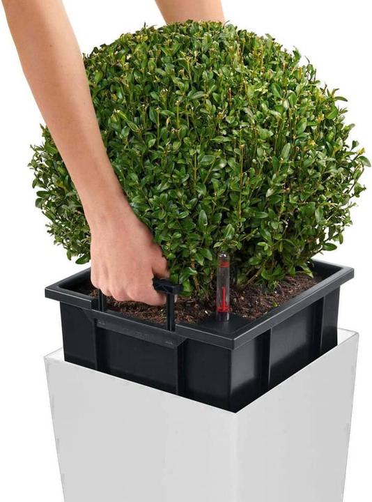 Actual product image Lechuza Cubico (39.50 x 39.50 x 75.50 cm)