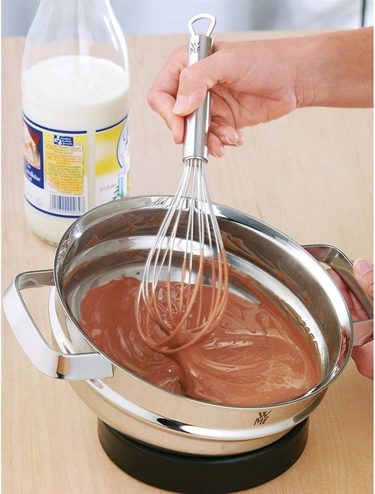 Actual product image WMF Professional Plus