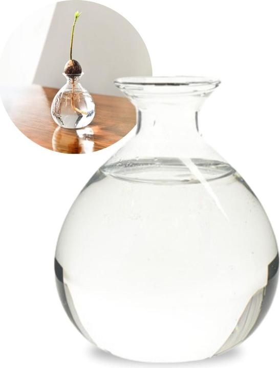 Image du produit Hermex Verre d'avocatier (10 cm)