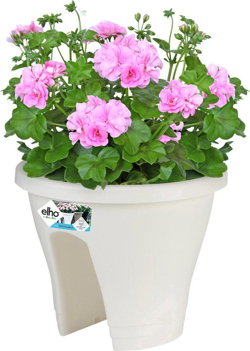 Produktbild Elho Corsica (29 cm)