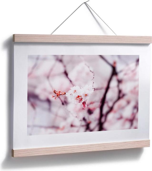 Produktbild Trenddeko Kirschblüte 02 (80 x 60 cm)