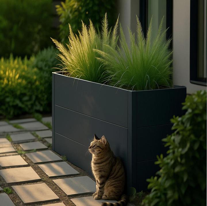 Produktbild MCW P64-E