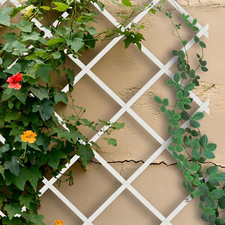 Actual product image Relaxdays 3x trellis (1 cm, 46 cm)