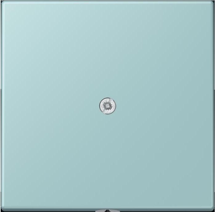 Produktbild JUNG Leitungsauslass