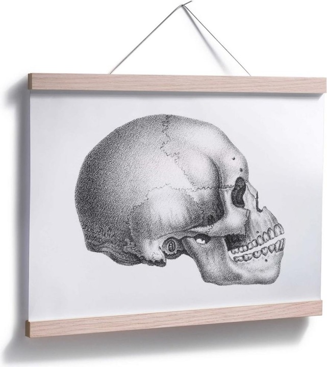 Actual product image Trenddeko Skull 02 (30 x 24 cm)