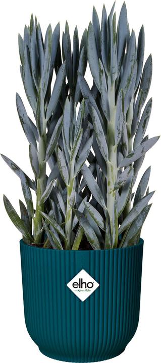 Produktbild Elho Vibes Fold (16 cm)