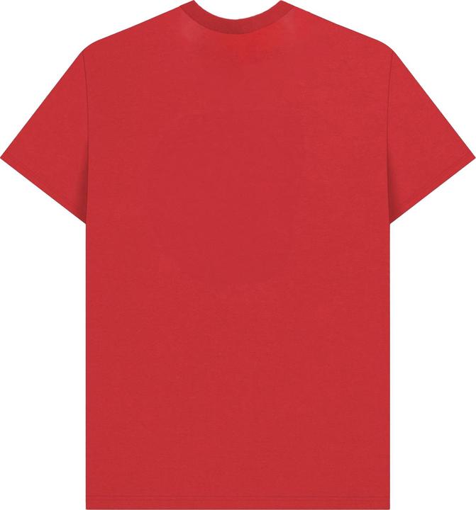 Actual product image Friends Unisex Adult Photo Print T-Shirt (M)