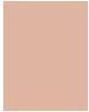 Actual product image Bourjois Always Fabulous 24H (300 Rose Sand)