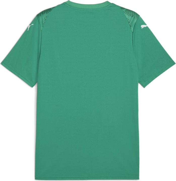 Image du produit Puma teamULTIMATE Jersey (S)