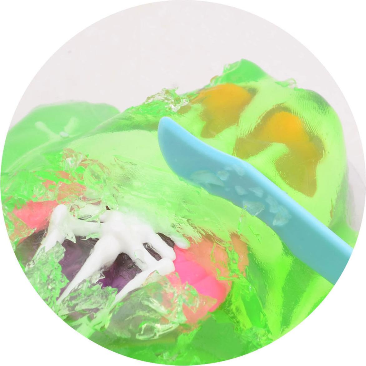 Johntoy Science Explorer Kikker -Anatomie-Schleim