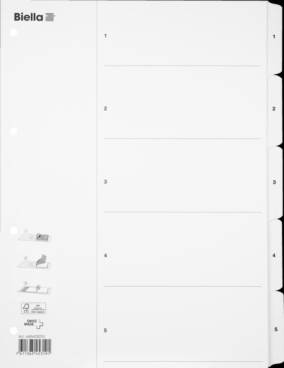 Actual product image Biella Register cardboard A4 1-5, 4hole