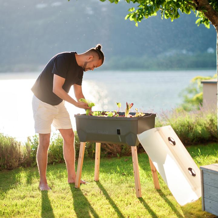 Immagine prodotto Gusta Garden Insalata Sammy