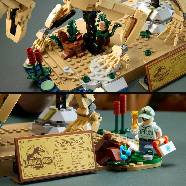 Produktbild LEGO Dinosaurier-Fossilien: Triceratops (77985, LEGO Jurassic World)
