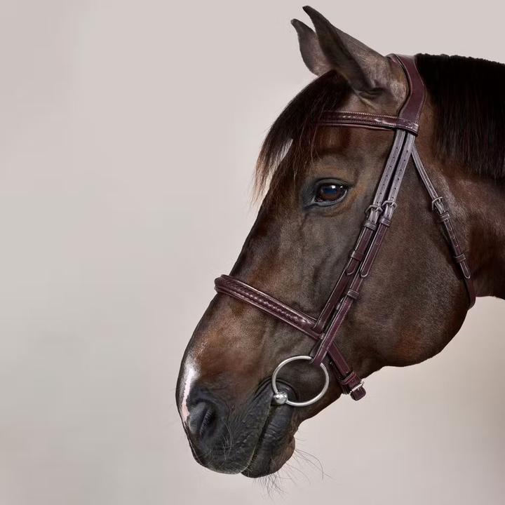 Image du produit Dy'on New English