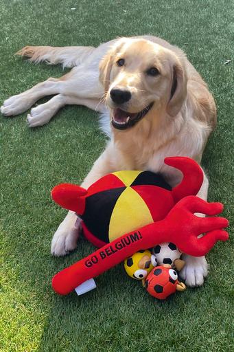 Immagine prodotto Beeztees Bambola Di Calcio Bz Tipo Netto 12st (Palla giocattolo per cani)