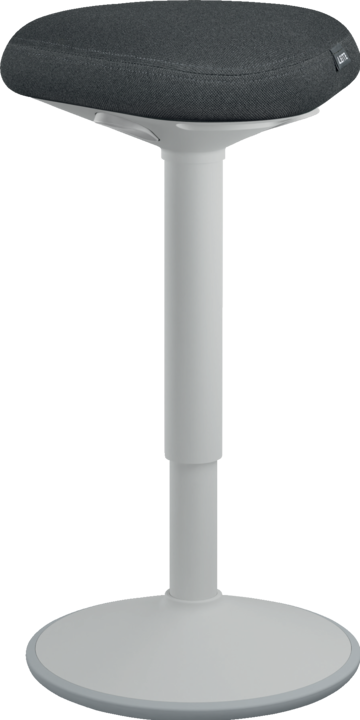Produktbild Leitz Ergo Active