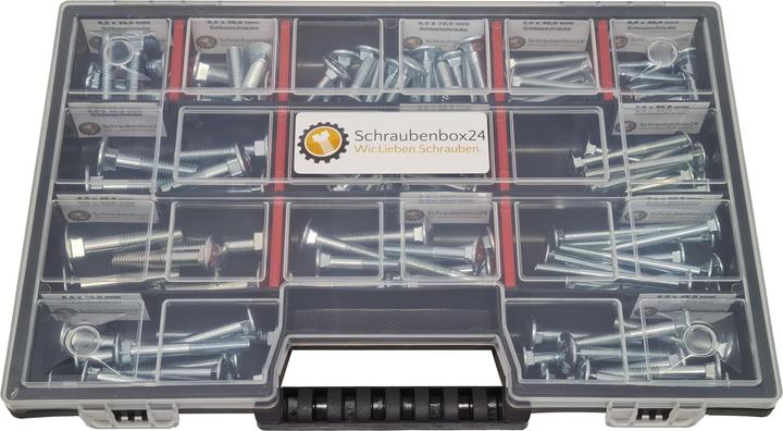 Schraubenbox24 Flachkopfschrauben Sortiment M5-M6-M8 // 30mm-60mm 115 tlg. Schraubenbox DIN 603 (115 Schrauben pro Stück)