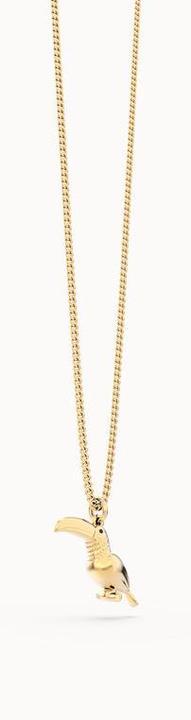 Image du produit MTM Collier Toucan