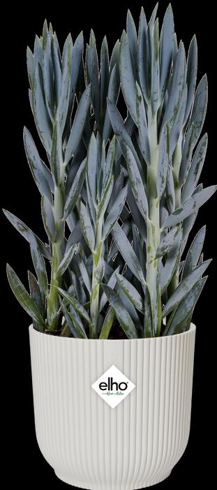 Produktbild Elho Vibes Fold (16.10 cm)