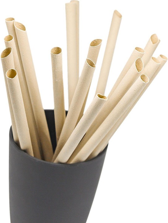Image du produit Pandoo Paille jetable bambou 50pcs (1 x)