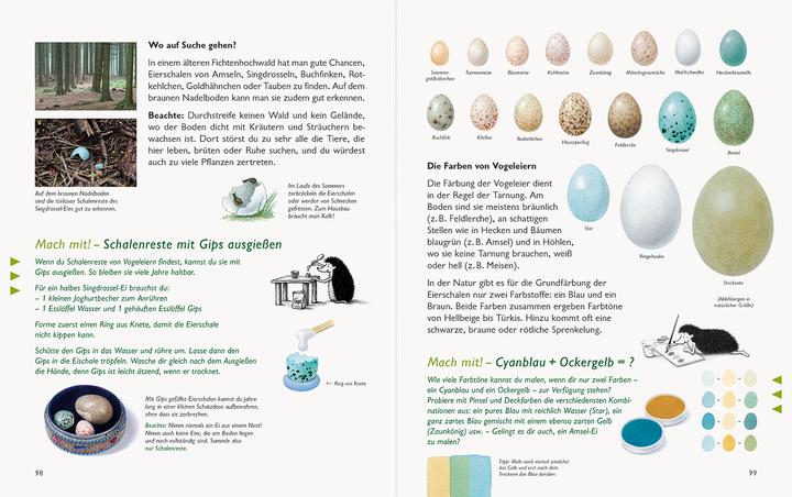 Produktbild Wawra's Naturbuch, Band 1: Säugetiere, Vögel, Reptilien, Amphibien (Deutsch, Johannes Wawra, Ursula Wawra, 2020)