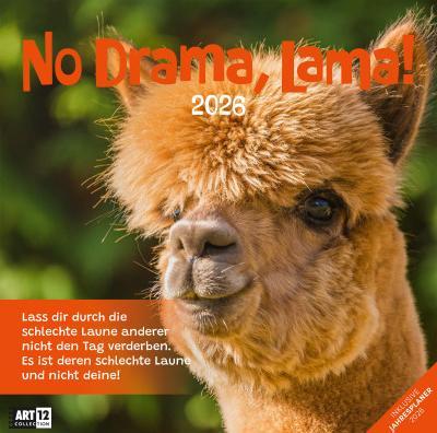 Image du produit No Drama, Lama! Kalender 2026 - 30x30 (30 x 30 cm, Couverture rigide, Allemand)