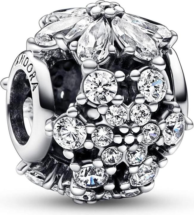 Image du produit Pandora Cluster d'herbier éclairé (Argent sterling 925)