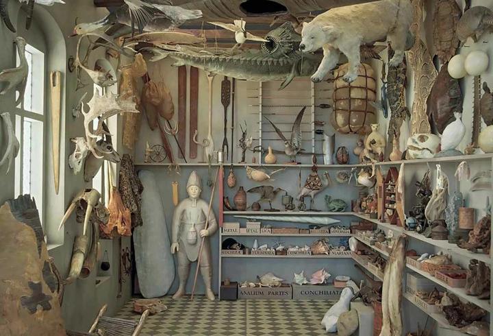 Produktbild Wunderkammer (Deutsch, Thijs Demeulemeester, 2018)