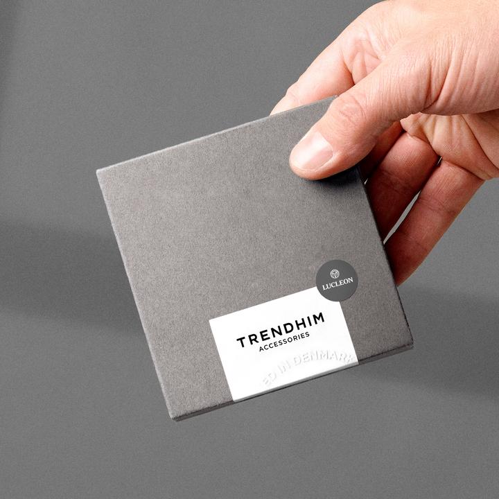 Produktbild Lucleon Essentials (Edelstahl)