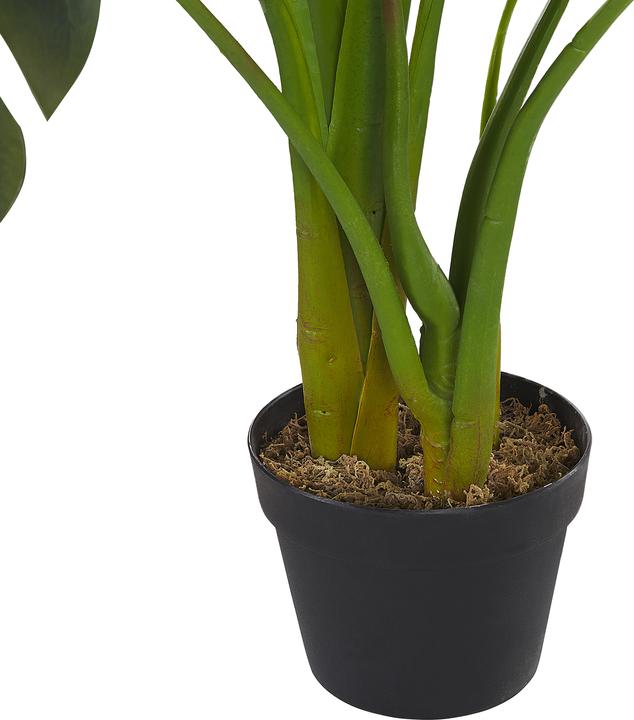 Immagine prodotto Beliani Monstera Plant (113 cm)