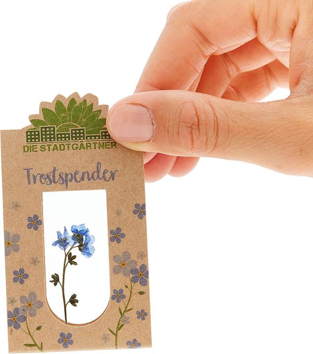 Produktbild Die Stadtgärtner Trostspender (Trockenblumen)