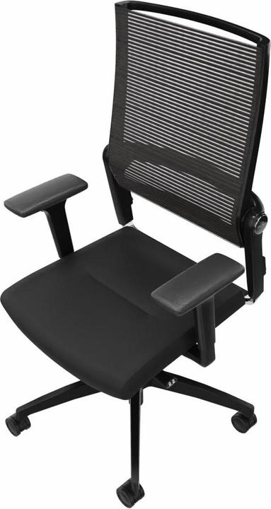 Immagine prodotto Dauphin Sedia da ufficio Lordo flex con schienale in rete, nero