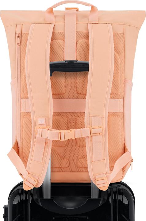 Actual product image Johnny Urban Allen Large Backpack (22 l)