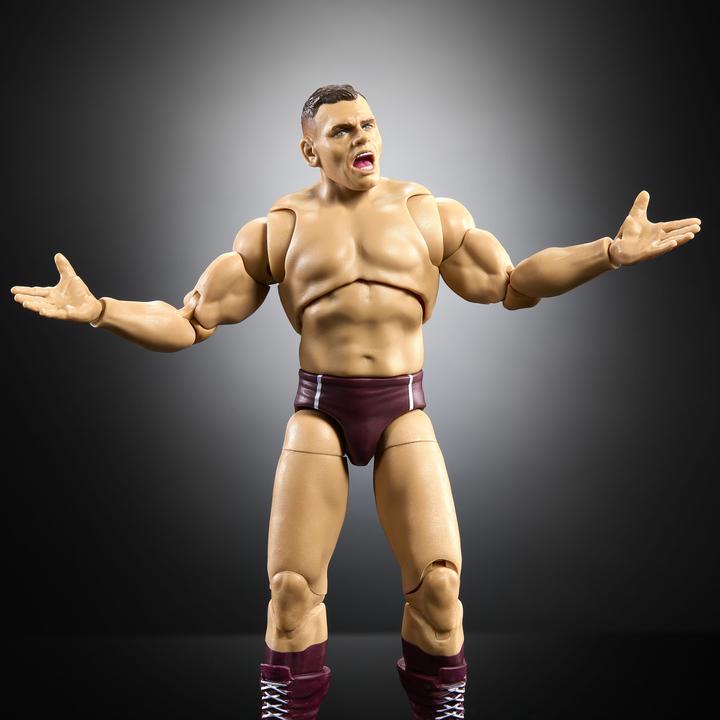 Actual product image WWE 0