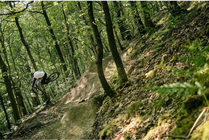 Image du produit ALPINA SPORTS Taunus Mips (55 - 59 cm)